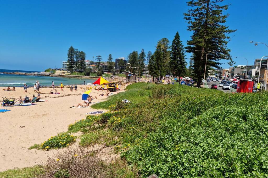 דירות Collaroy Maverick'S Retreat Cromer Sydney'S Northern Beaches מראה חיצוני תמונה