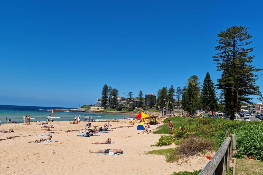 דירות Collaroy Maverick'S Retreat Cromer Sydney'S Northern Beaches מראה חיצוני תמונה